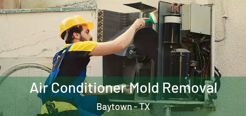  Air Conditioner Mold Removal Baytown - TX