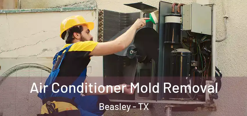  Air Conditioner Mold Removal Beasley - TX