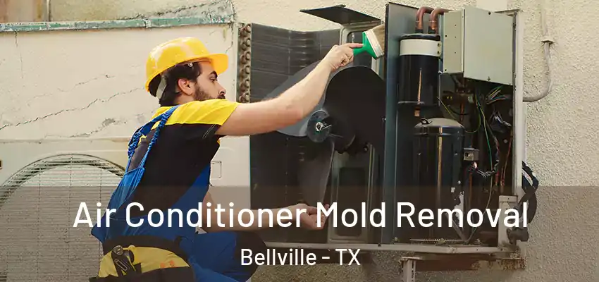  Air Conditioner Mold Removal Bellville - TX