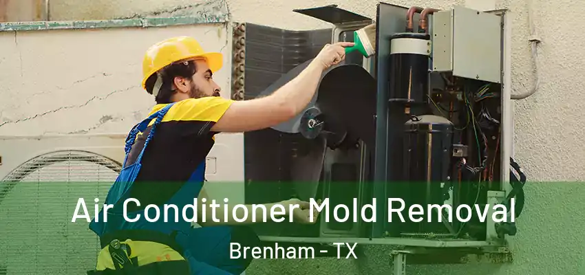  Air Conditioner Mold Removal Brenham - TX