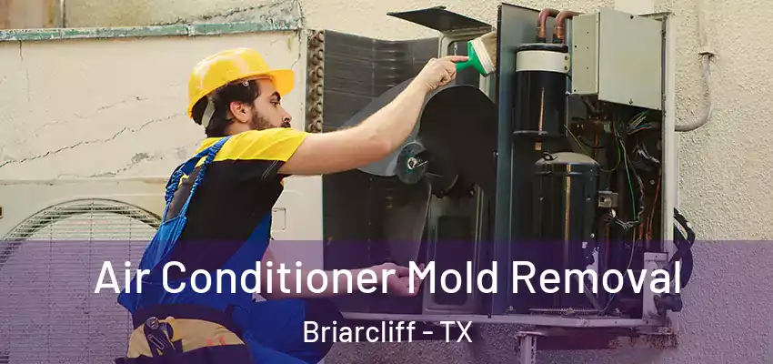 Air Conditioner Mold Removal Briarcliff - TX