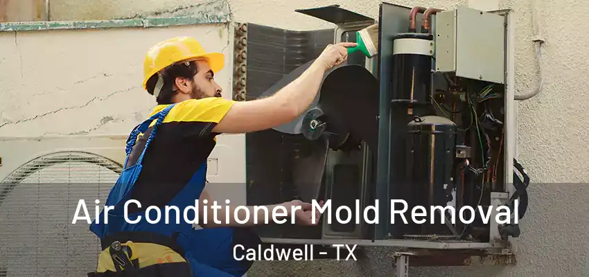 Air Conditioner Mold Removal Caldwell - TX