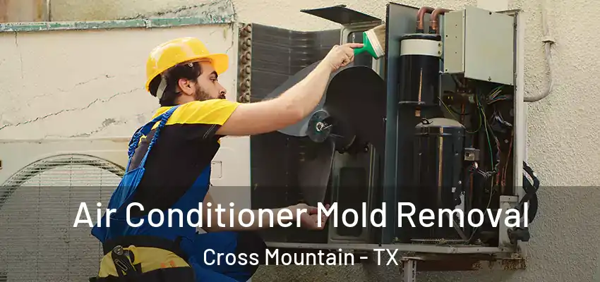  Air Conditioner Mold Removal Cross Mountain - TX