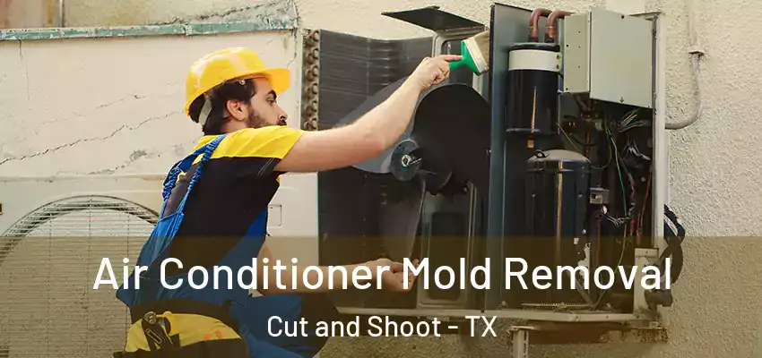  Air Conditioner Mold Removal Cut and Shoot - TX