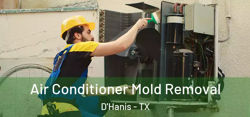  Air Conditioner Mold Removal D'Hanis - TX