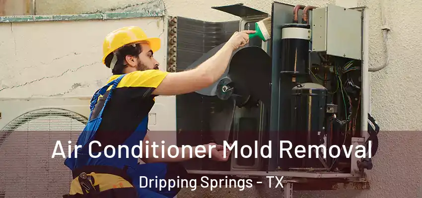  Air Conditioner Mold Removal Dripping Springs - TX
