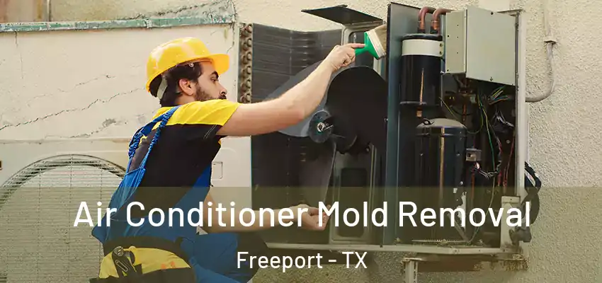  Air Conditioner Mold Removal Freeport - TX