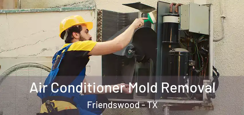  Air Conditioner Mold Removal Friendswood - TX