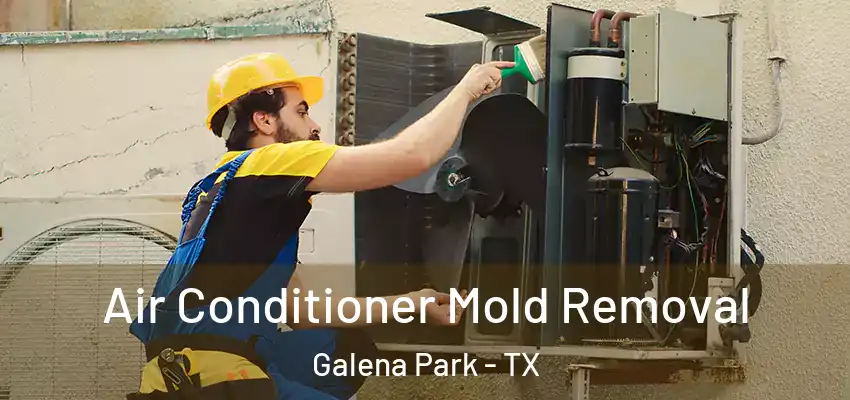  Air Conditioner Mold Removal Galena Park - TX