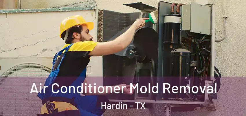  Air Conditioner Mold Removal Hardin - TX
