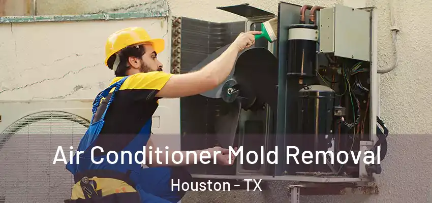  Air Conditioner Mold Removal Houston - TX