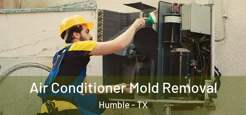  Air Conditioner Mold Removal Humble - TX