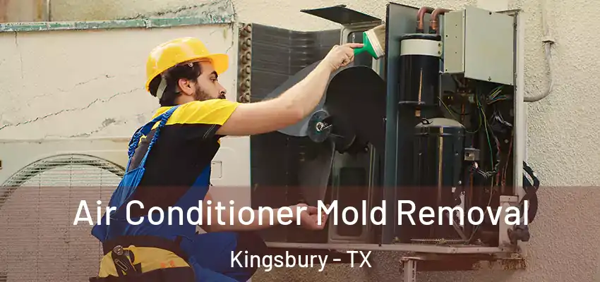  Air Conditioner Mold Removal Kingsbury - TX