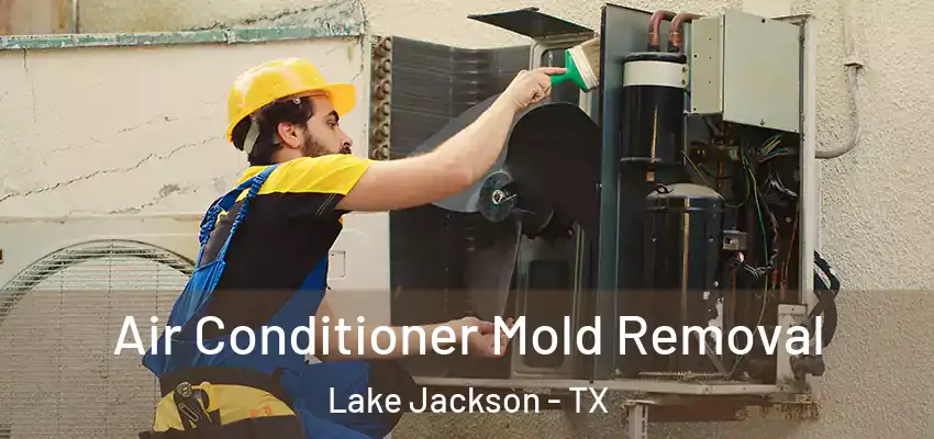  Air Conditioner Mold Removal Lake Jackson - TX