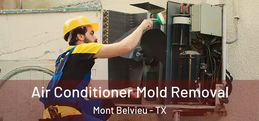  Air Conditioner Mold Removal Mont Belvieu - TX