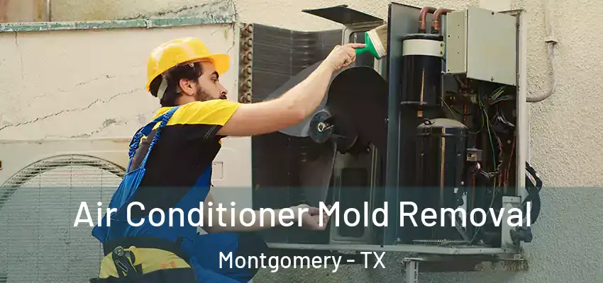  Air Conditioner Mold Removal Montgomery - TX