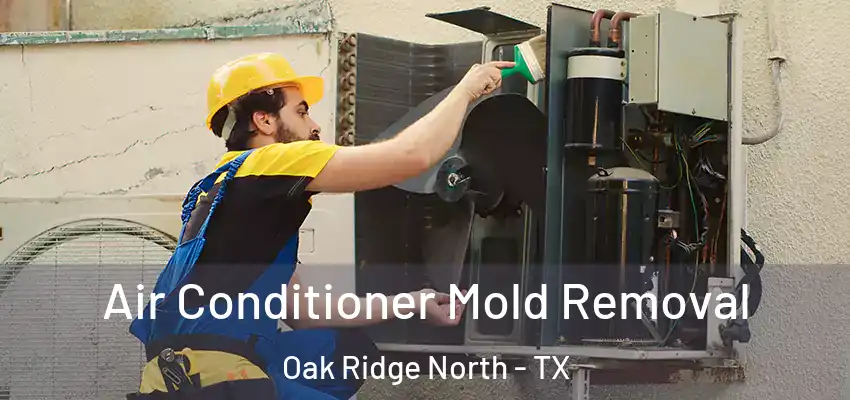  Air Conditioner Mold Removal Oak Ridge North - TX