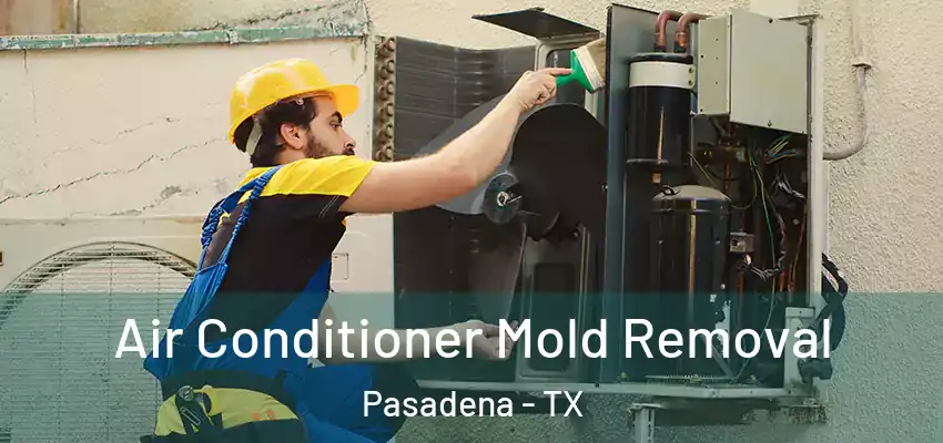  Air Conditioner Mold Removal Pasadena - TX