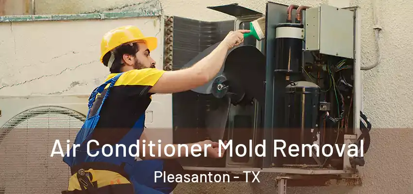  Air Conditioner Mold Removal Pleasanton - TX