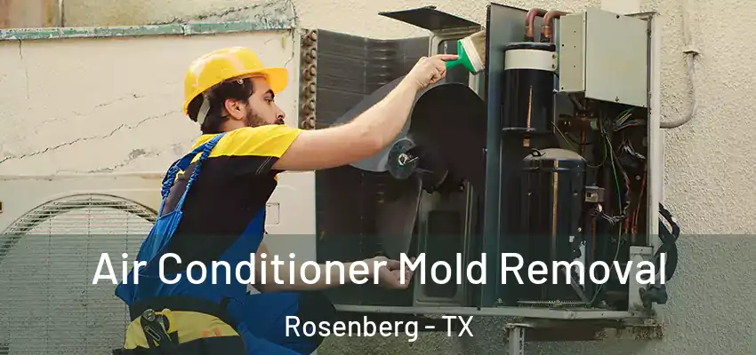  Air Conditioner Mold Removal Rosenberg - TX