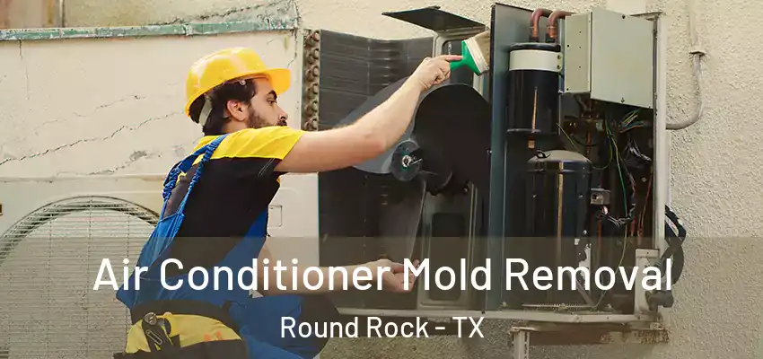  Air Conditioner Mold Removal Round Rock - TX