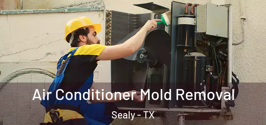  Air Conditioner Mold Removal Sealy - TX