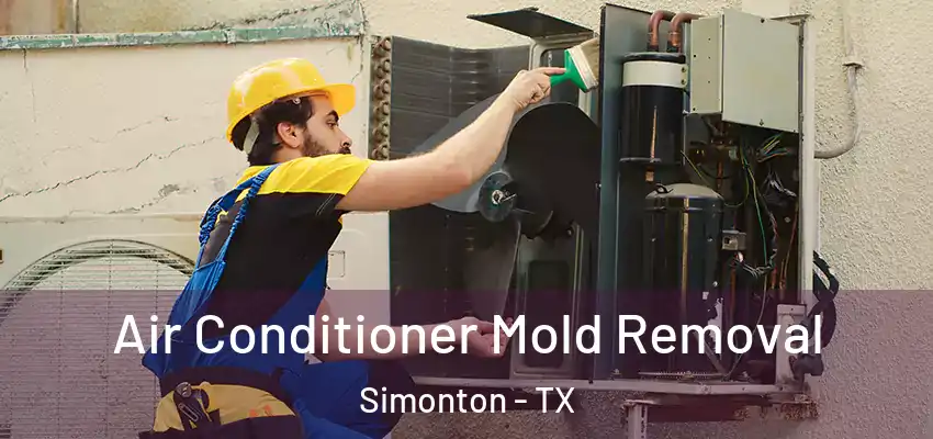  Air Conditioner Mold Removal Simonton - TX