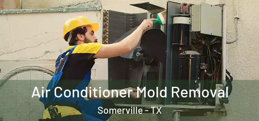  Air Conditioner Mold Removal Somerville - TX