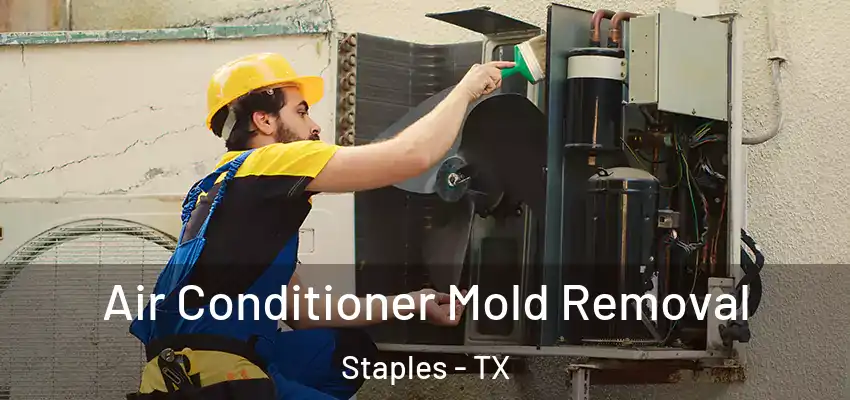  Air Conditioner Mold Removal Staples - TX