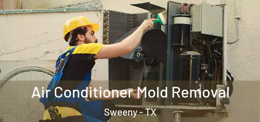  Air Conditioner Mold Removal Sweeny - TX