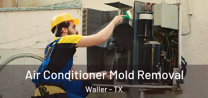  Air Conditioner Mold Removal Waller - TX