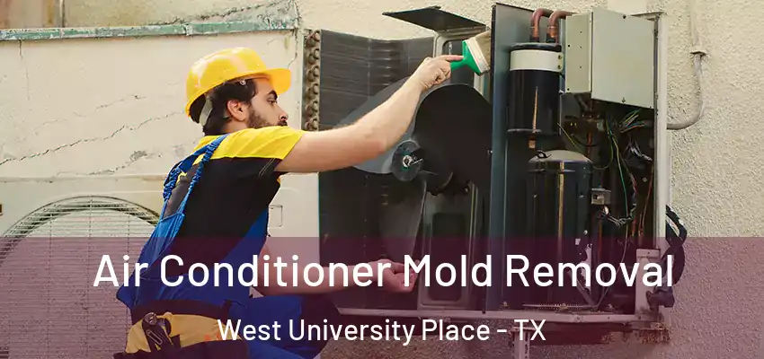  Air Conditioner Mold Removal West University Place - TX