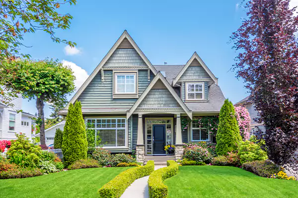 Black Mold Clean Up in Conroe, TX