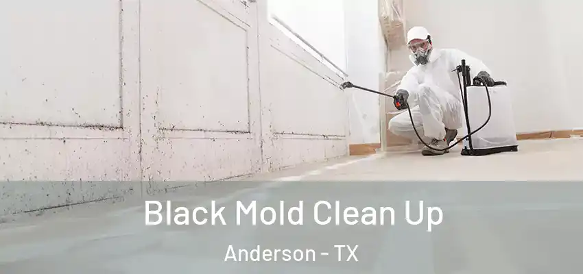  Black Mold Clean Up Anderson - TX