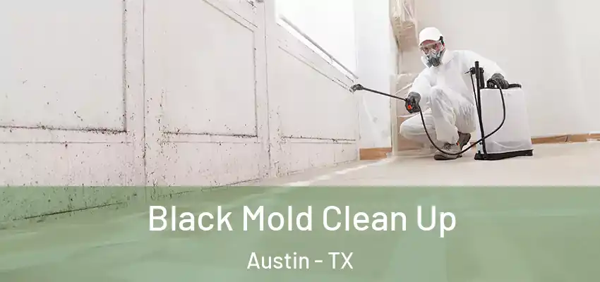  Black Mold Clean Up Austin - TX