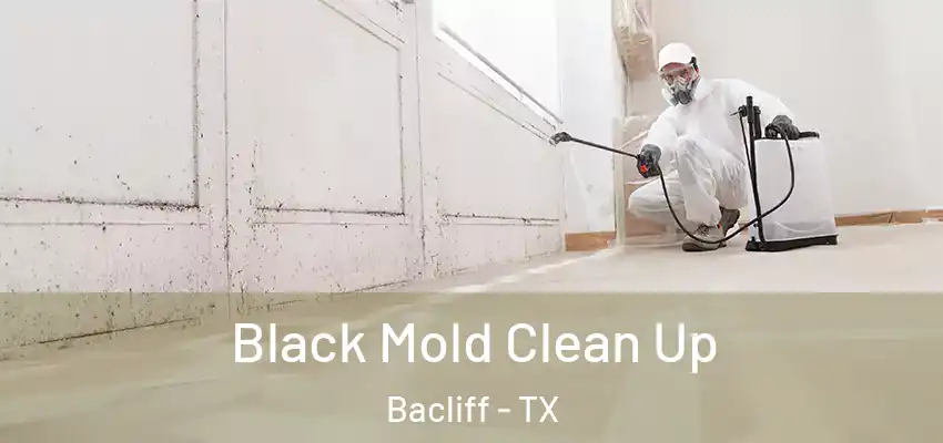  Black Mold Clean Up Bacliff - TX
