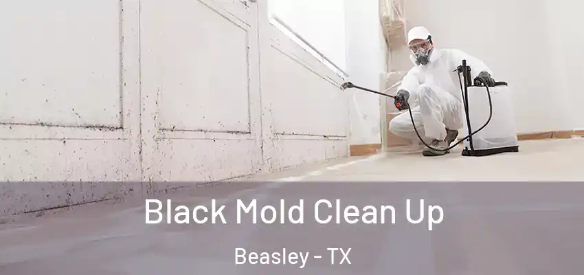  Black Mold Clean Up Beasley - TX