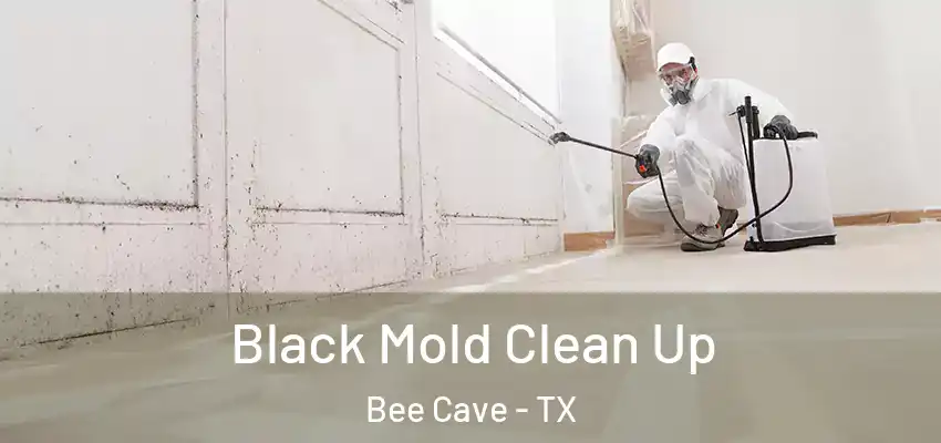  Black Mold Clean Up Bee Cave - TX