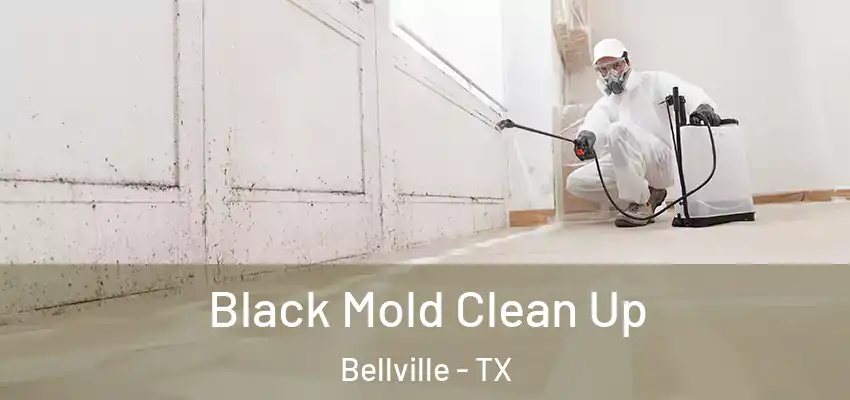  Black Mold Clean Up Bellville - TX