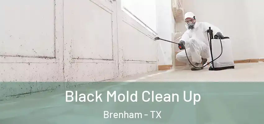  Black Mold Clean Up Brenham - TX