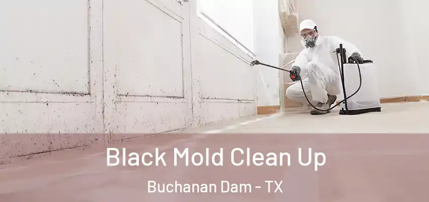  Black Mold Clean Up Buchanan Dam - TX