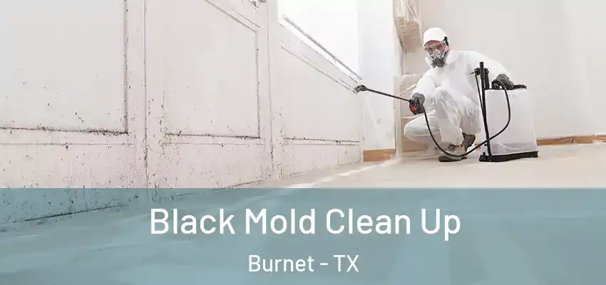  Black Mold Clean Up Burnet - TX