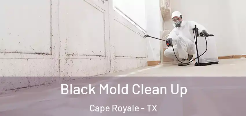  Black Mold Clean Up Cape Royale - TX