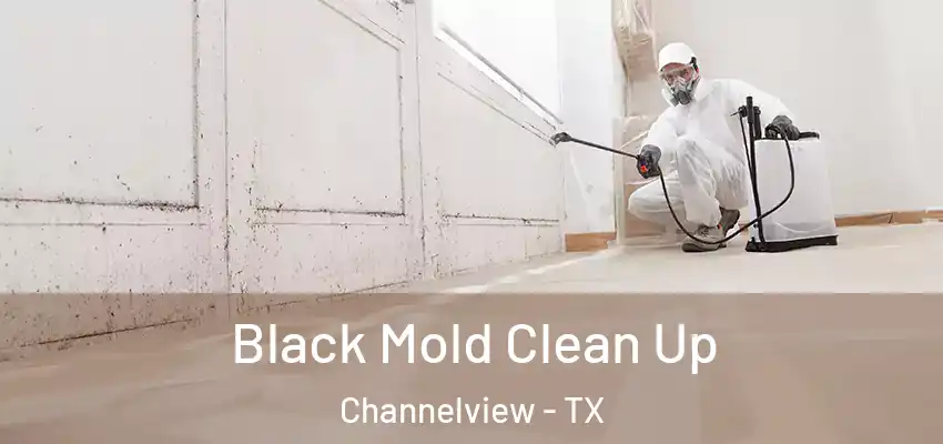  Black Mold Clean Up Channelview - TX
