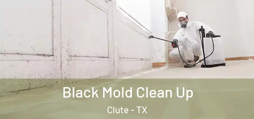  Black Mold Clean Up Clute - TX