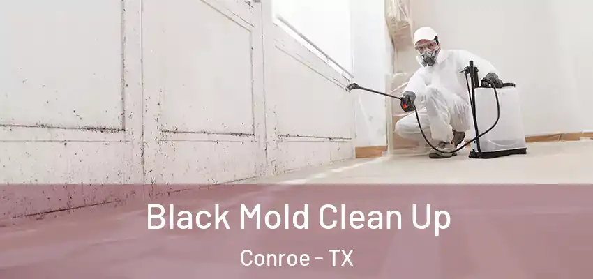  Black Mold Clean Up Conroe - TX
