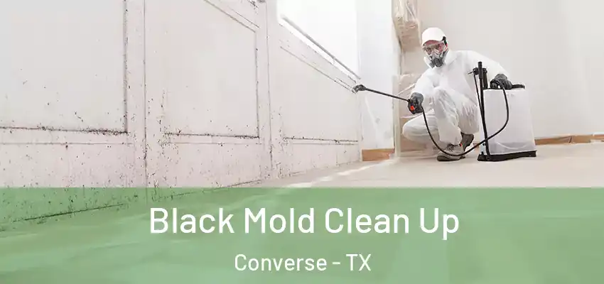  Black Mold Clean Up Converse - TX