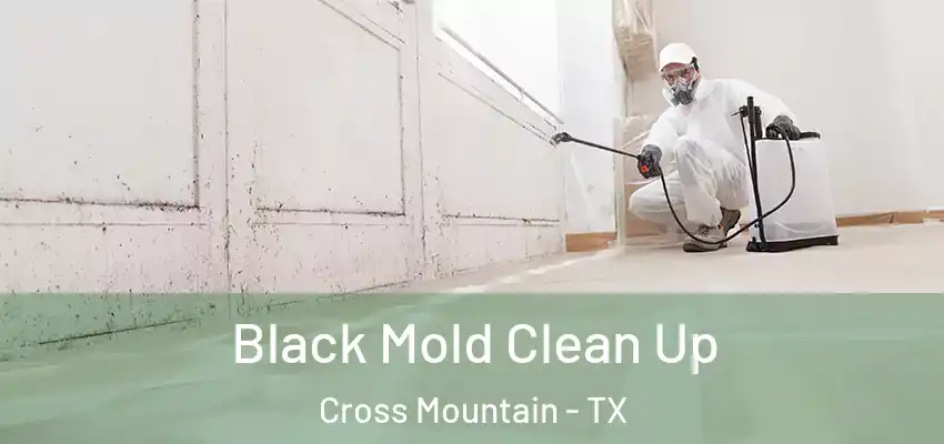  Black Mold Clean Up Cross Mountain - TX