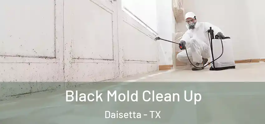  Black Mold Clean Up Daisetta - TX