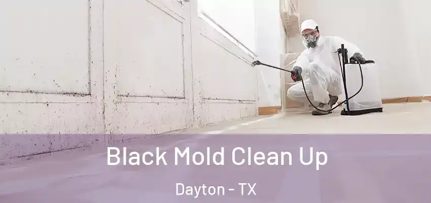  Black Mold Clean Up Dayton - TX